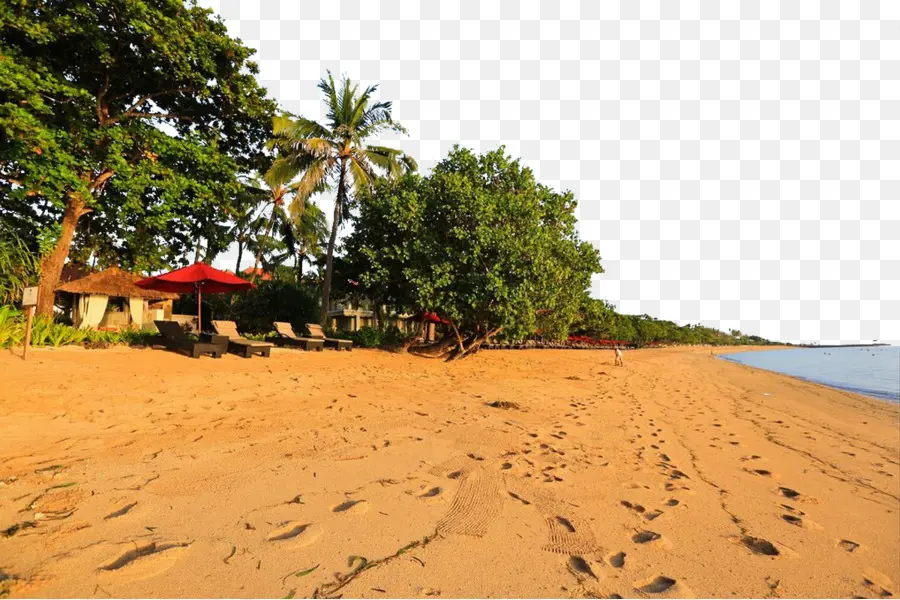 Plage，Sable PNG