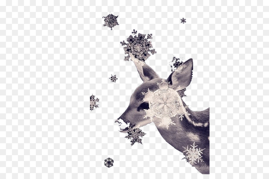 Cerf Avec Des Flocons De Neige，Hiver PNG