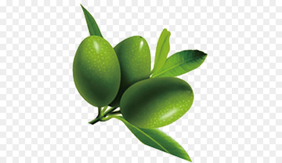 Olives，Bifurquer PNG