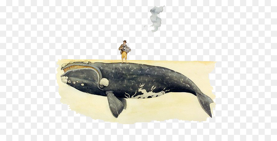 Baleine，Homme PNG