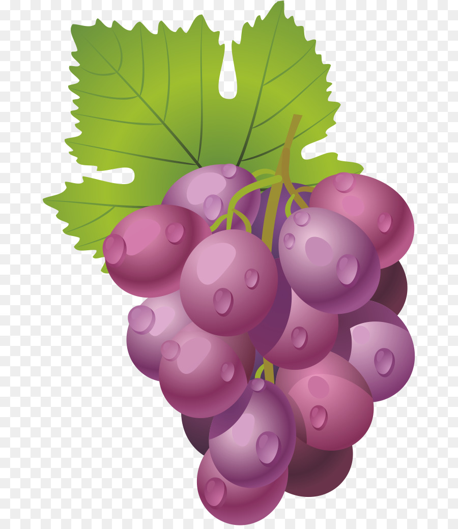 Raisins，Vigne PNG