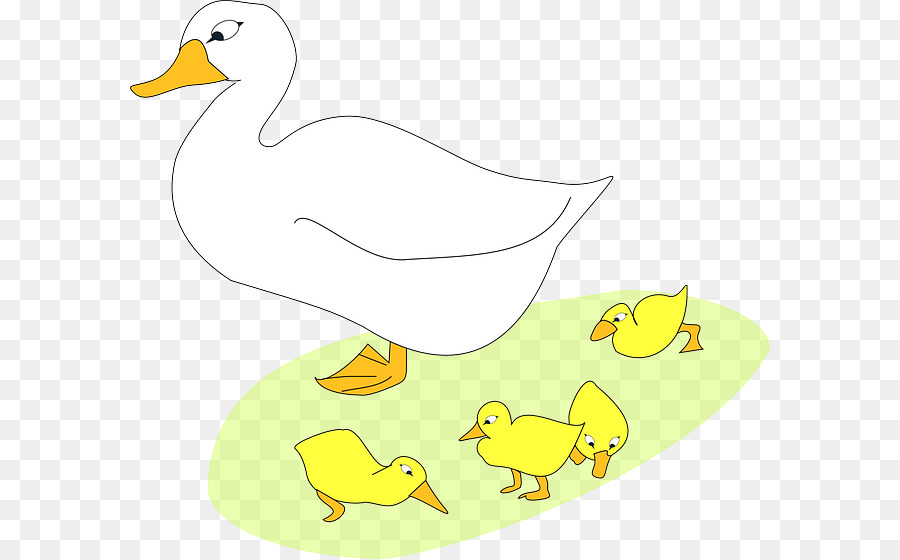 Oie，Canard PNG