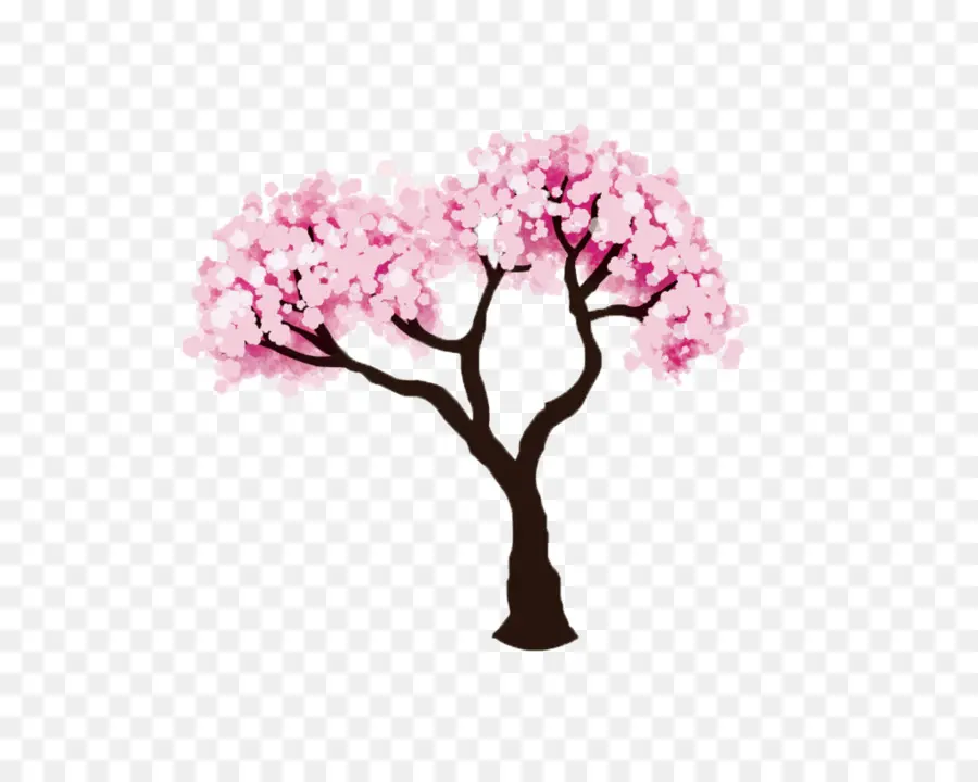 Fleur De Cerisier，Cerise PNG