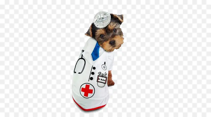 Chien En Costume De Médecin，Chiot PNG