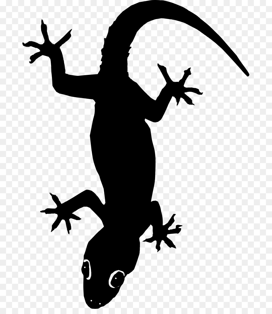 Lézard，Gecko PNG