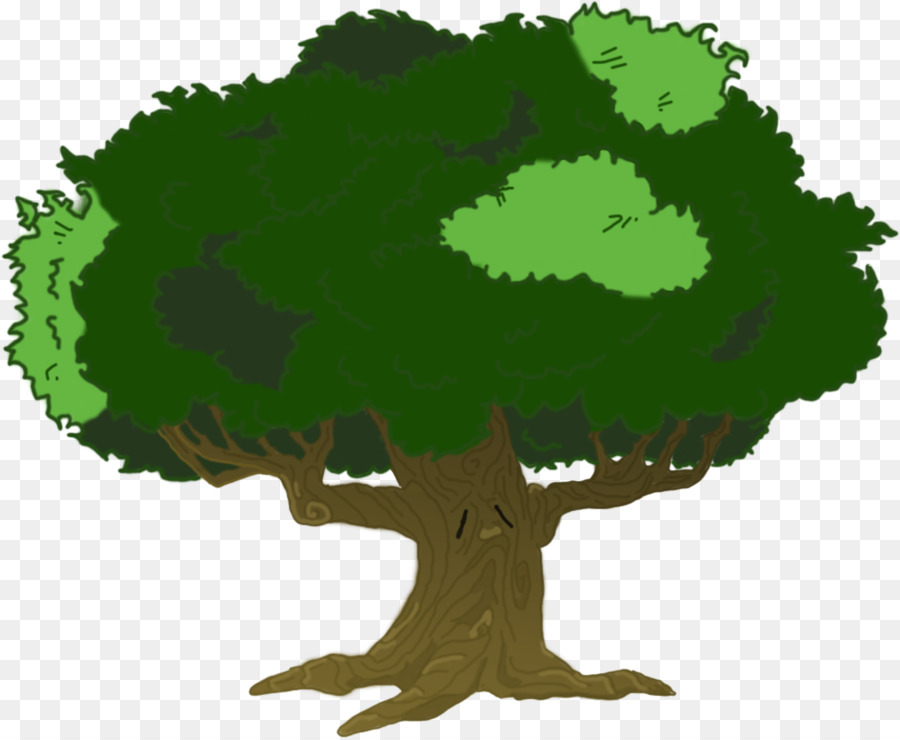 Arbre，Feuilles PNG