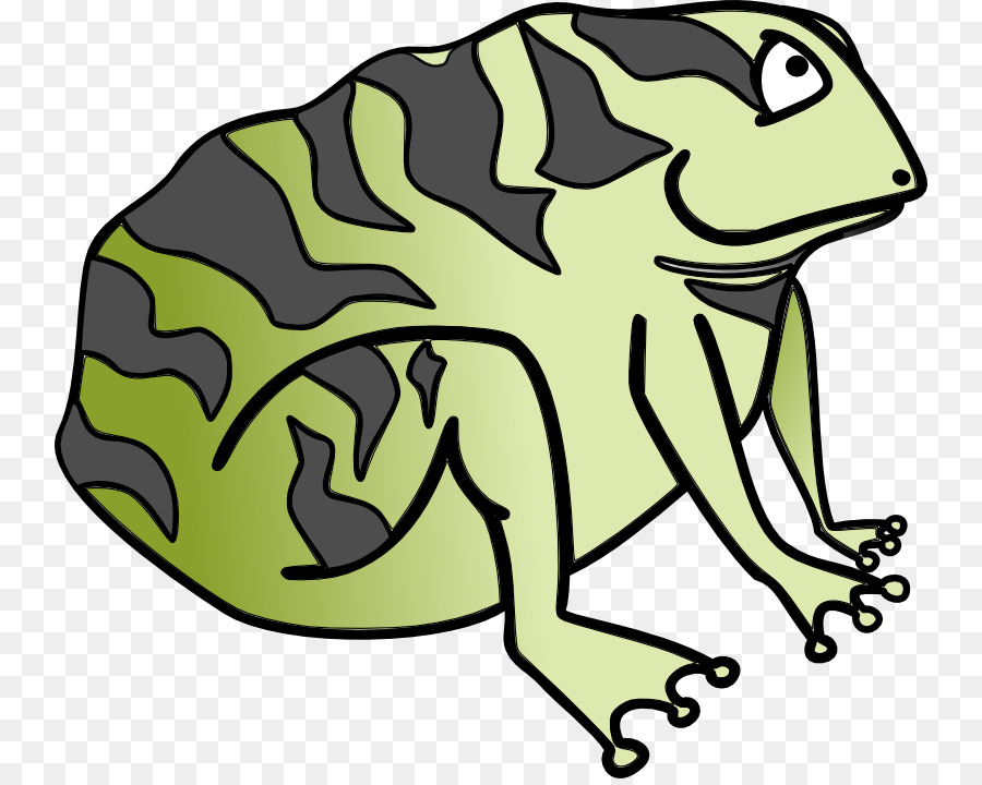 Grenouille，Amphibie PNG