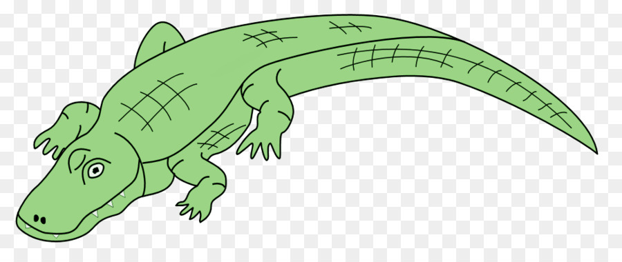 Alligator，Crocodile PNG