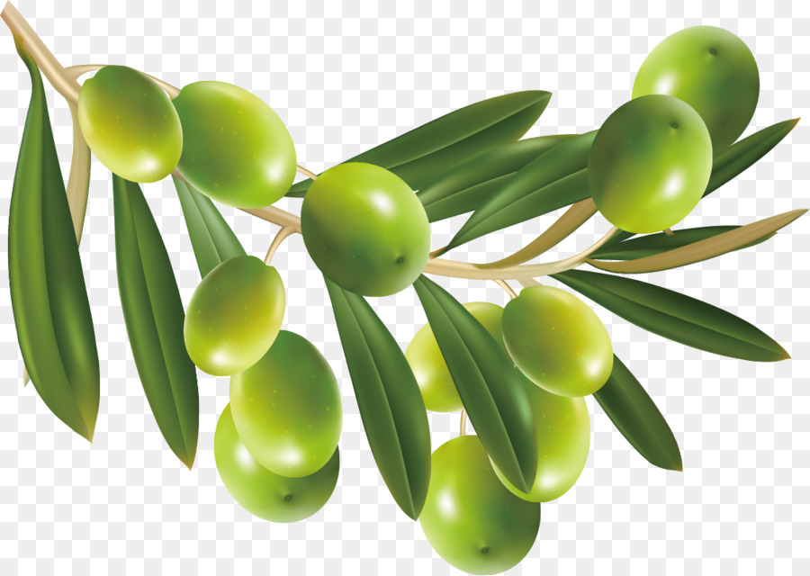 Olives Vertes，Bifurquer PNG