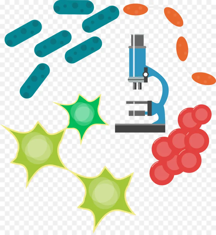 Microscope，Bactéries PNG