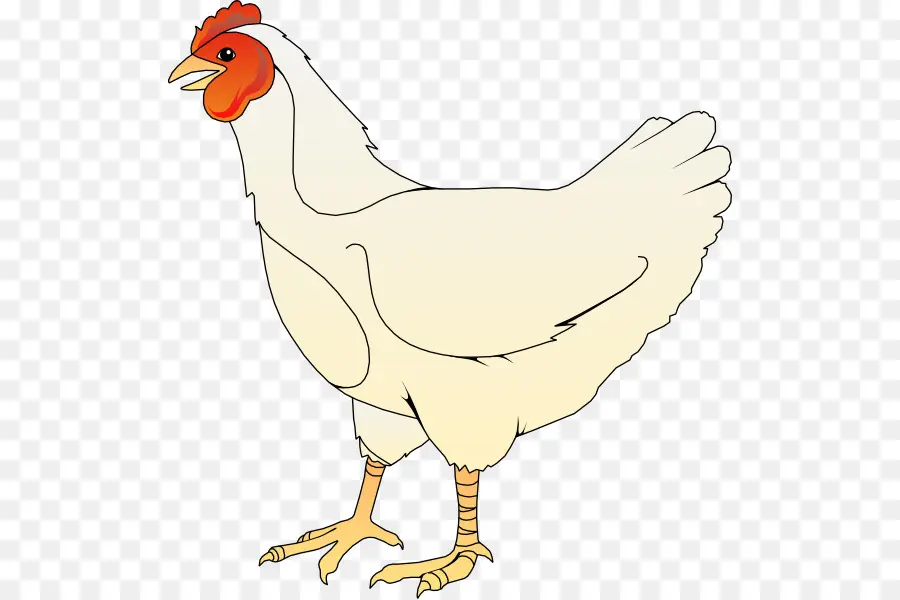Silkie，Poulet Barbecue PNG