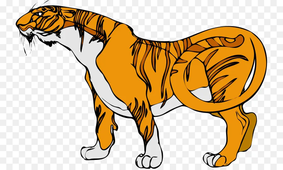 Tigre，Animation PNG