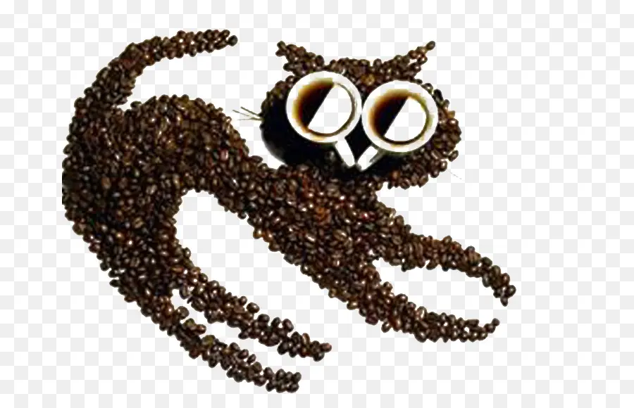 Chat De Café，Café En Grains PNG