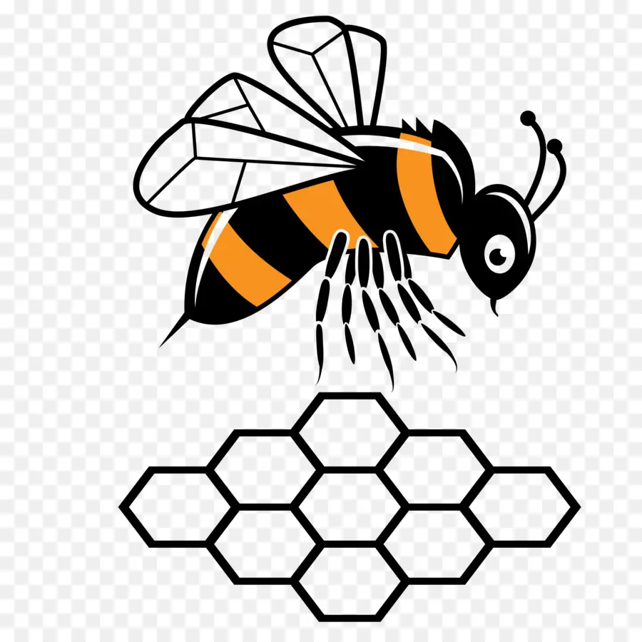 Abeille，Rayon De Miel PNG