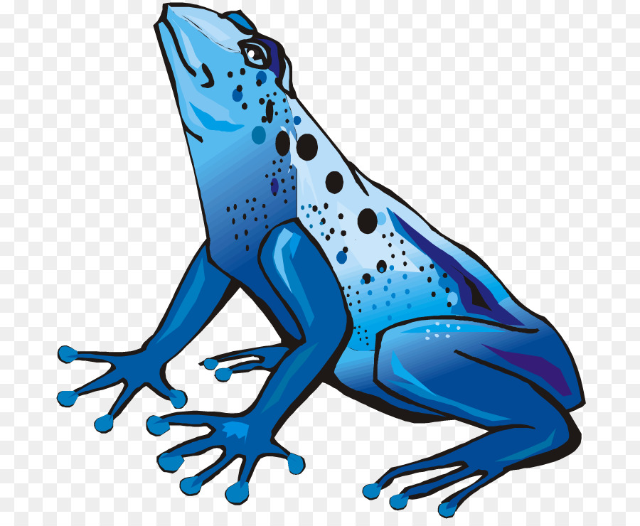 Grenouille Bleue，Amphibie PNG