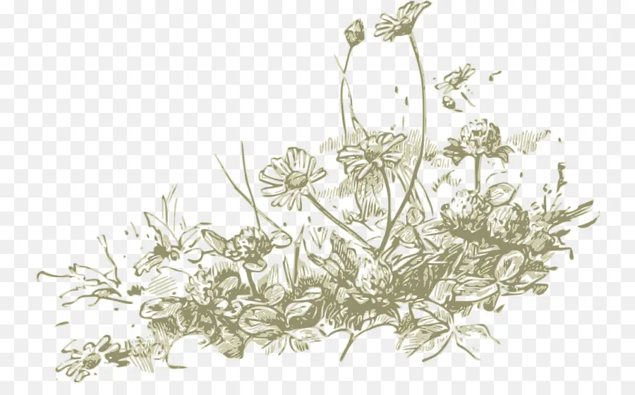 Fleurs，Jardin PNG