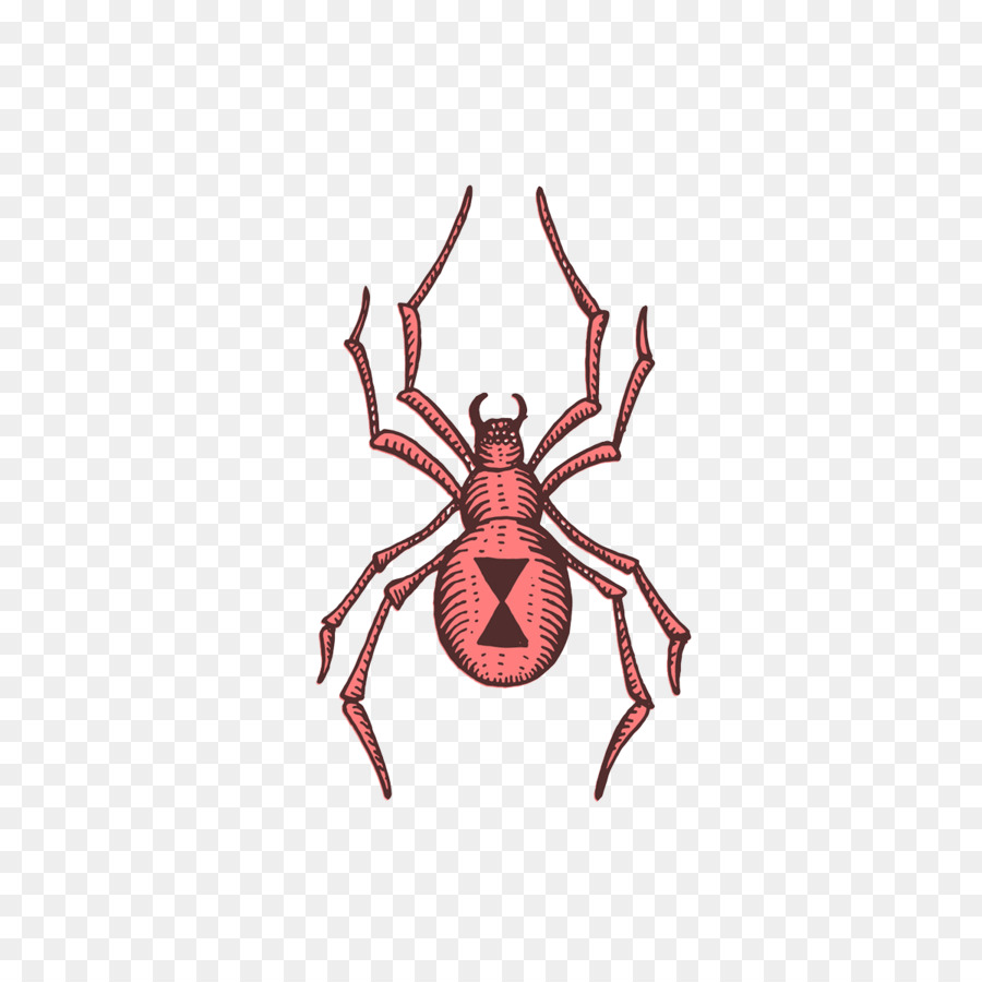 Araignée，Araignée Redback PNG