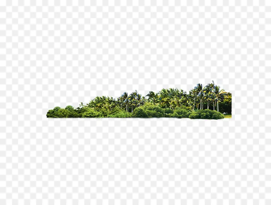 Paysage Tropical，Arbres PNG