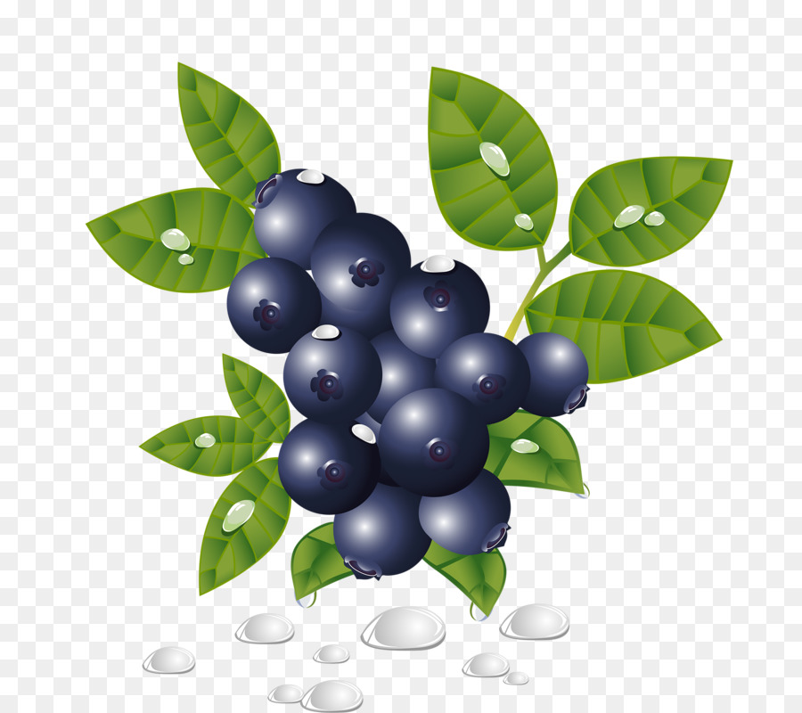 Bleuets，Feuilles PNG