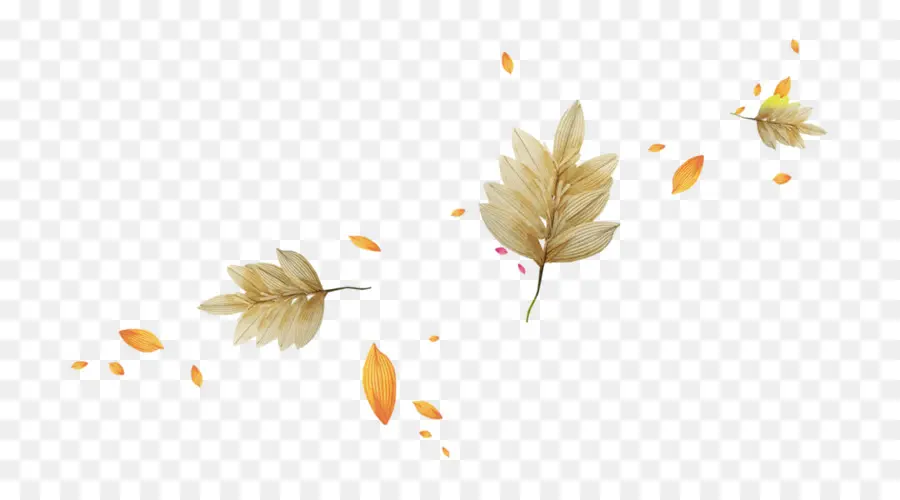 Feuilles，Automne PNG