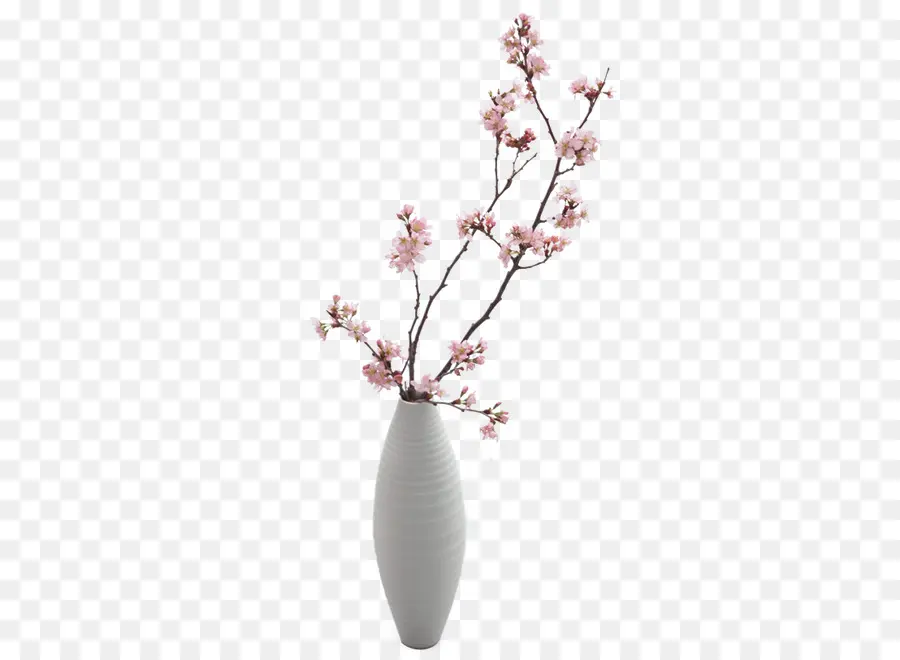 Vase à Fleurs，Vase Blanc PNG