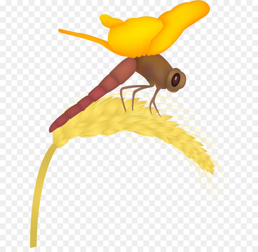 Insecte，Dessin Animé PNG