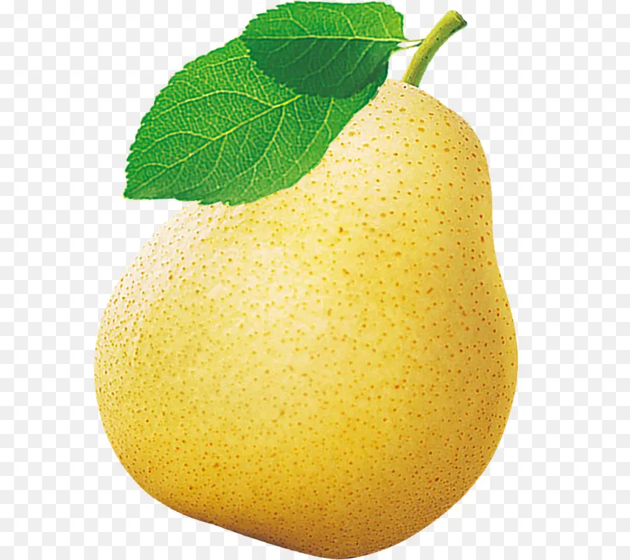 Poire，Jaune PNG