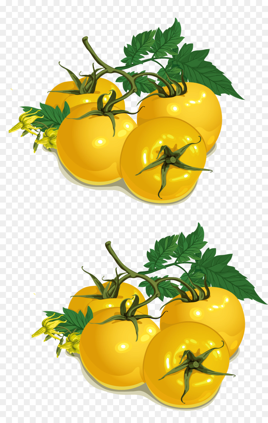 Tomates Jaunes，Tomate PNG