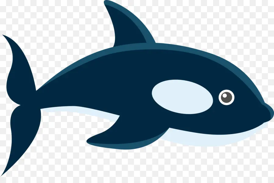 Baleine，Animal PNG