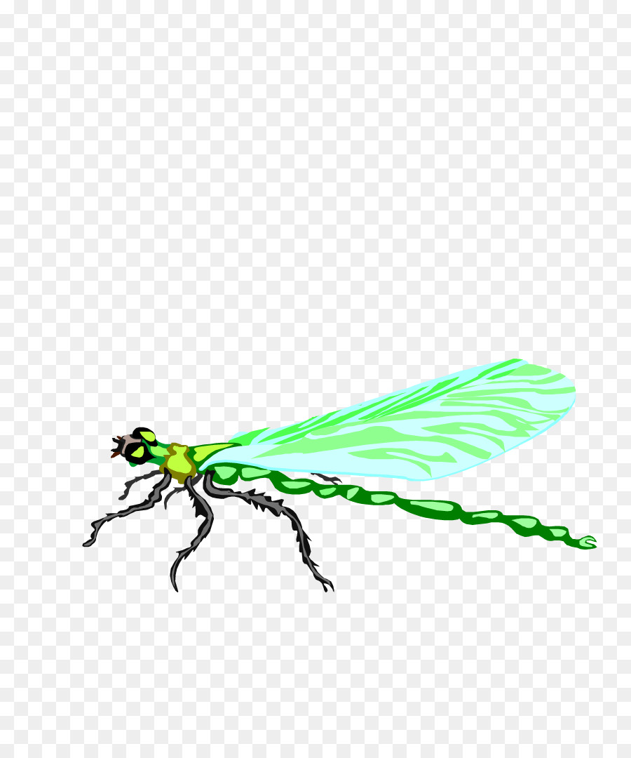 Libellule Verte，Ailes PNG