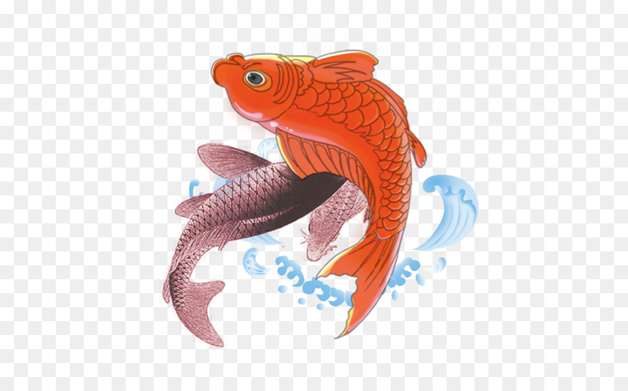 Koi，Carpe PNG