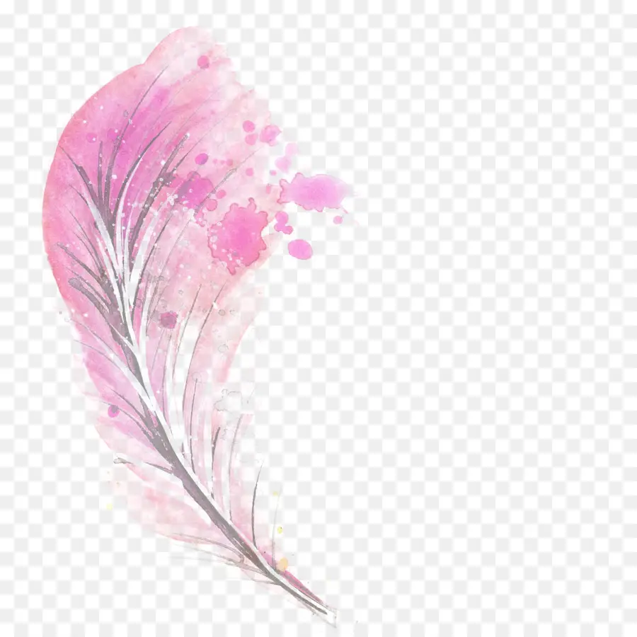 Plume，Rose PNG