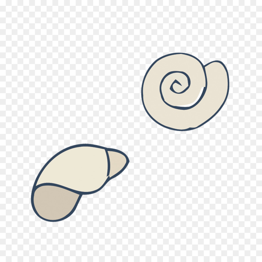 Escargot De Mer，Coquille PNG