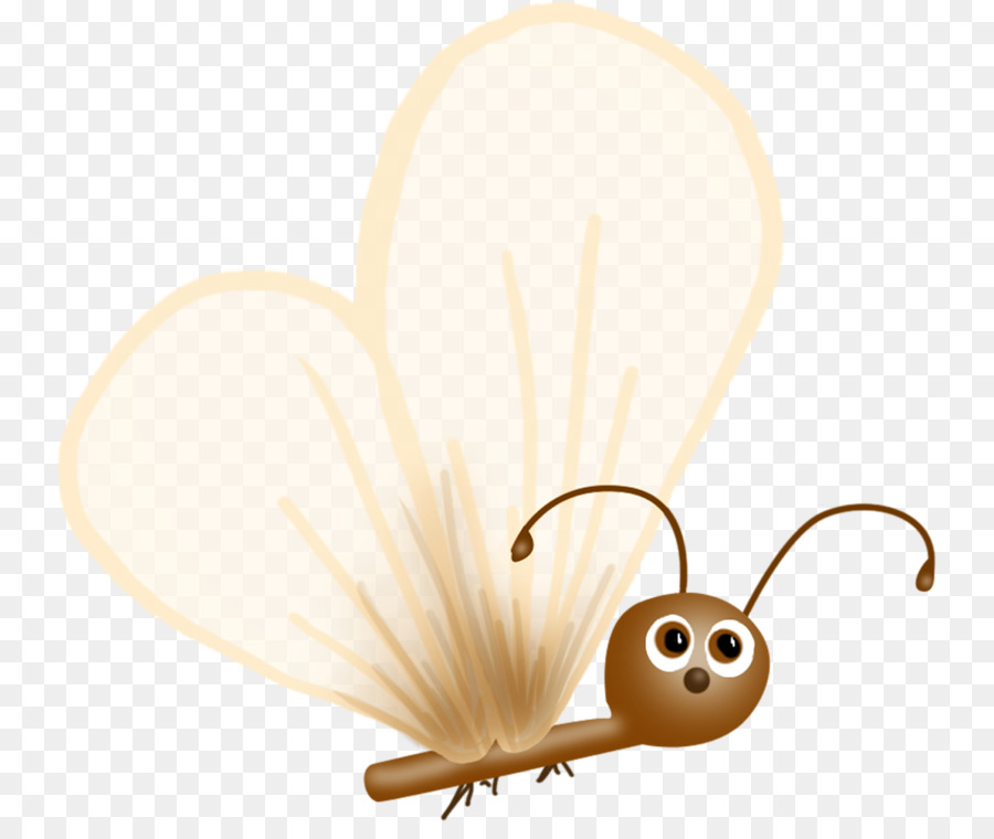 Papillon Mignon，Antennes PNG