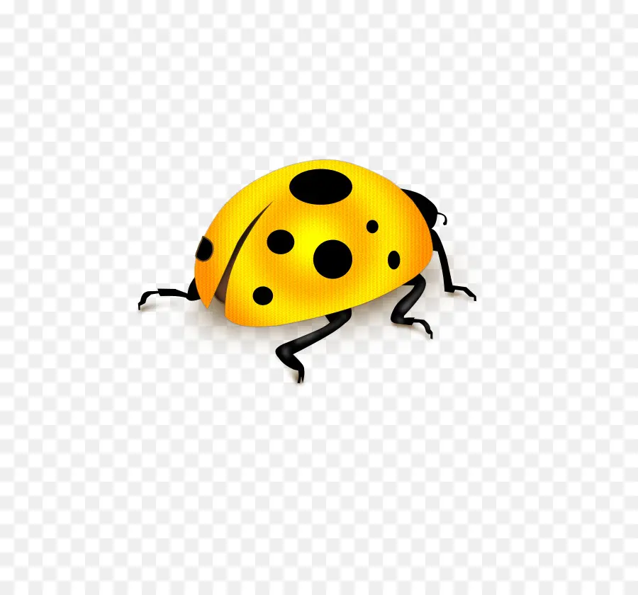 Coccinelle Jaune，Scarabée PNG