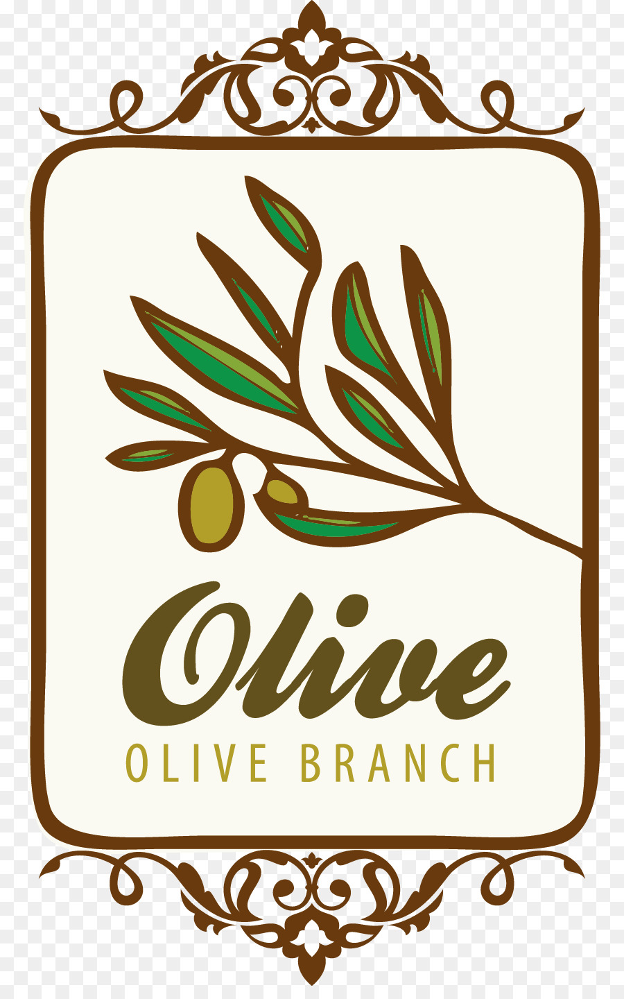 Branche D'olivier，Olive PNG