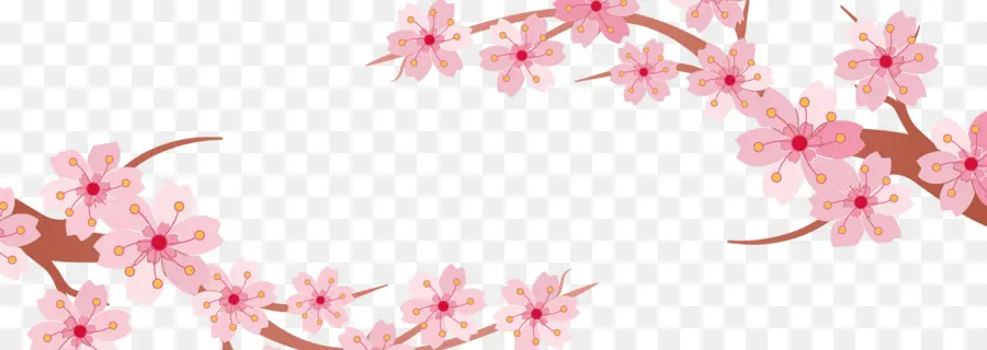 Fleur De Cerisier，Bannière PNG