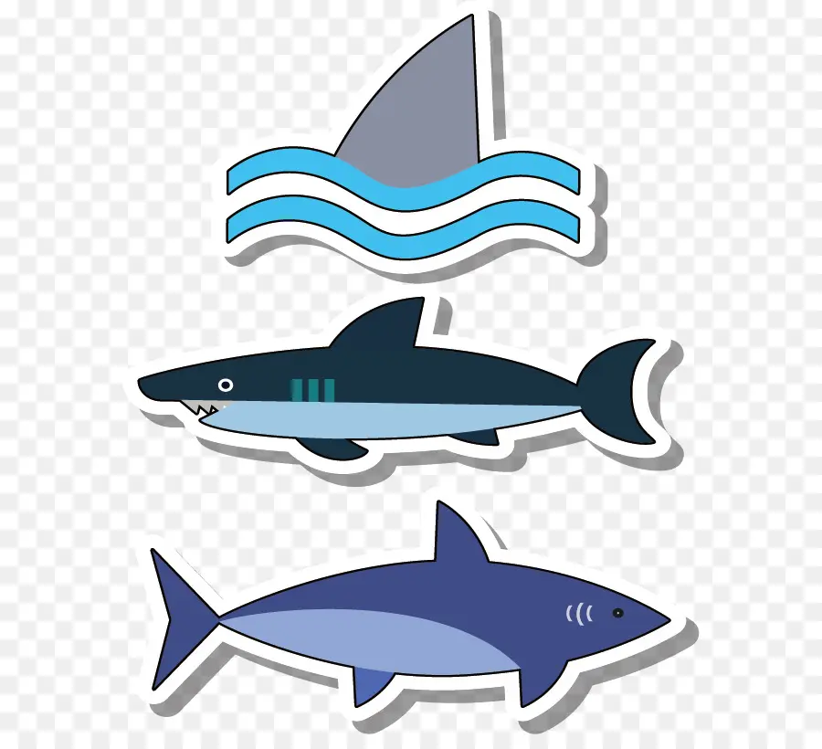 Requins，Océan PNG