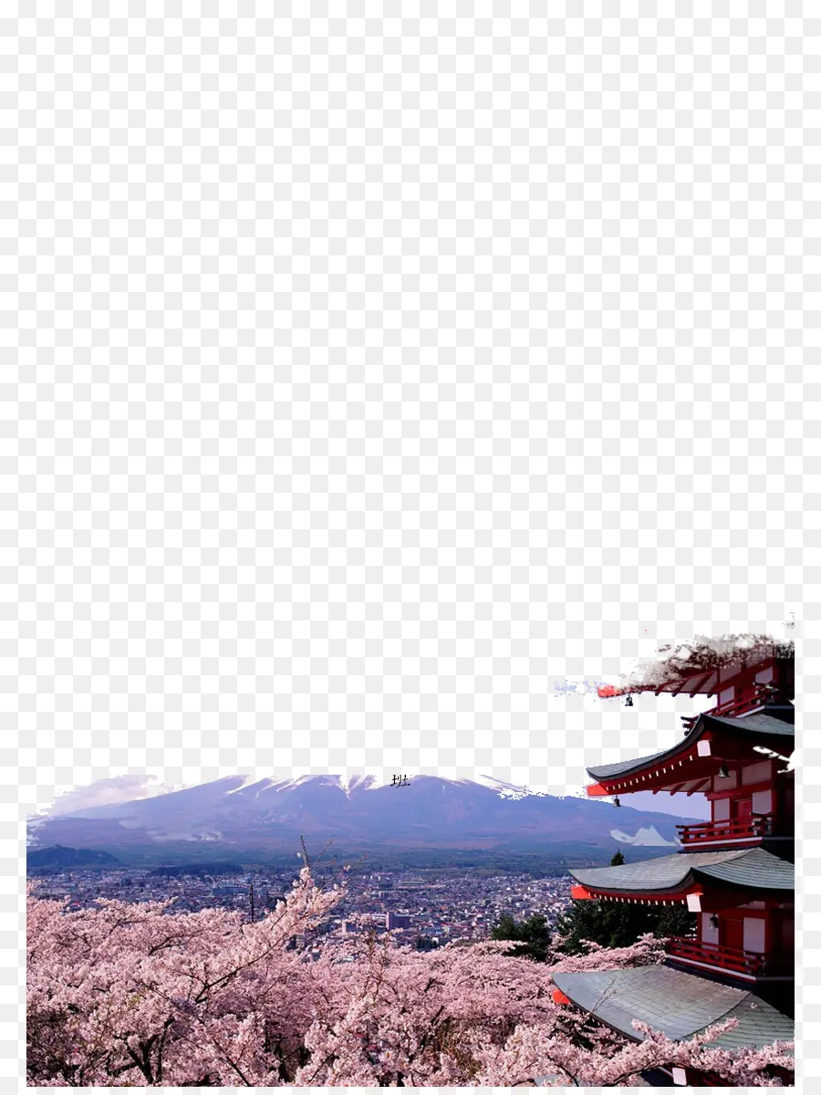 Mont Fuji，Tokyo PNG