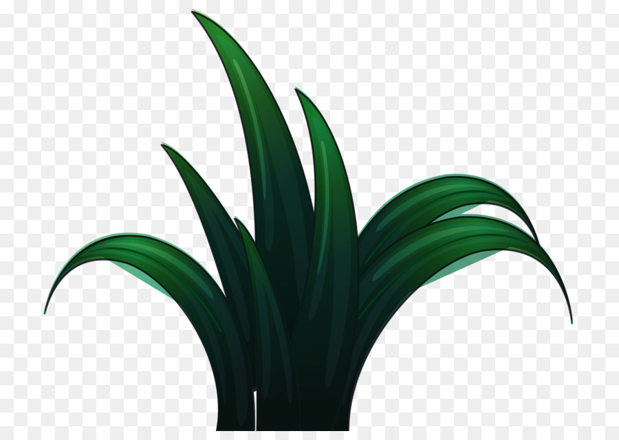 Plante Verte，Feuilles PNG