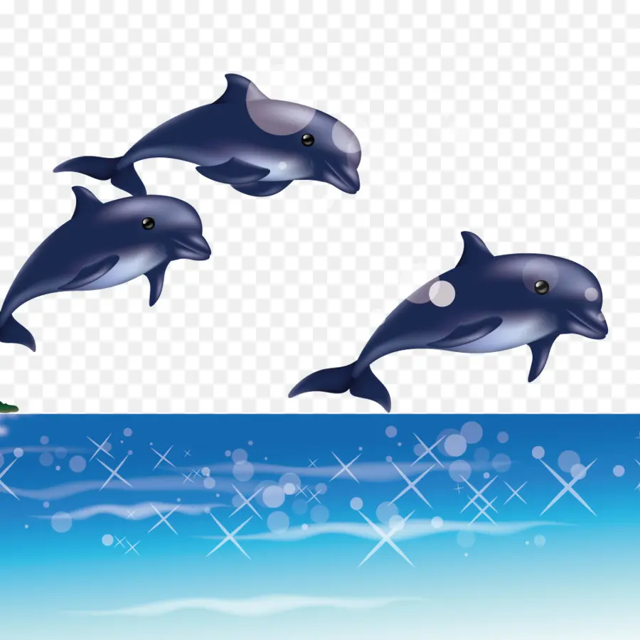 Dauphins，Océan PNG