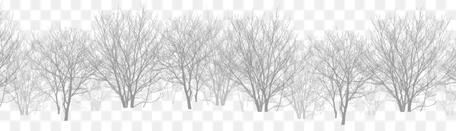 Arbres Nus，Hiver PNG