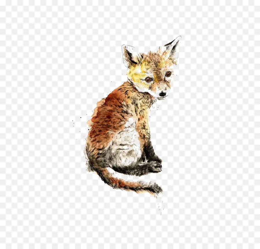 Renard，Animal PNG