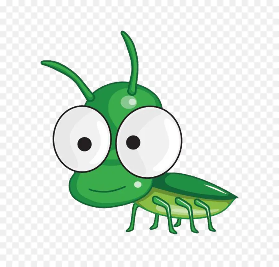 Sauterelle，Insecte PNG