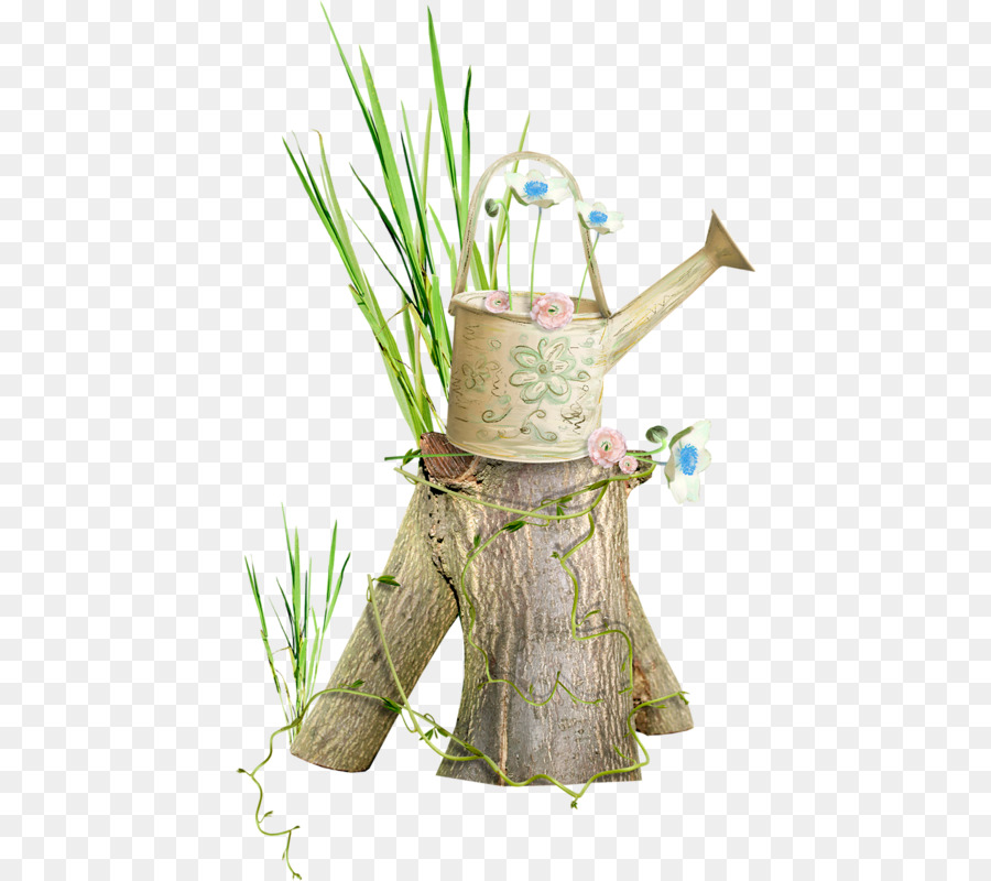 Arrosoir，Plantes PNG