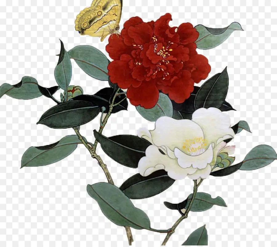 Fleurs，Fleur Rouge PNG