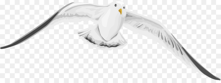 Mouette Volante，Ailes PNG