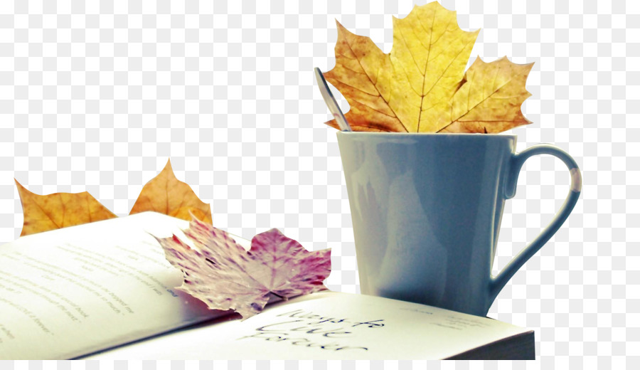 Tasse，Feuilles PNG