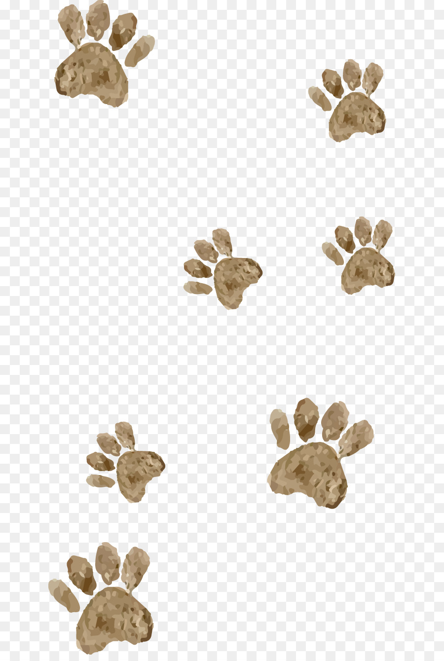 Empreintes De Pattes，Animal PNG