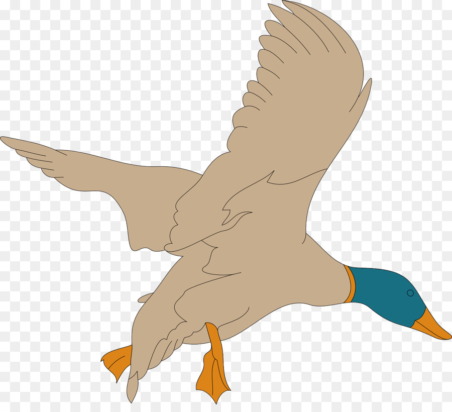 Oie Volante，Oiseau PNG